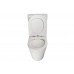 Vega Compact Back to Wall Toilet Matte White