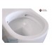 Turner Hastings Narva Rimless Back to Wall Toilet Suite 