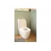 Turner Hastings Narva Rimless Back to Wall Toilet Suite 